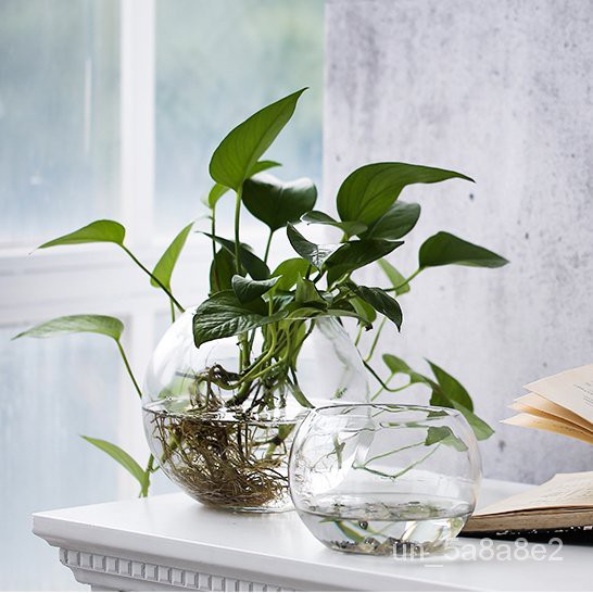 Vase现代透明玻璃花瓶圆形水培植物花盆客厅绿萝水培鱼缸装饰摆件加厚