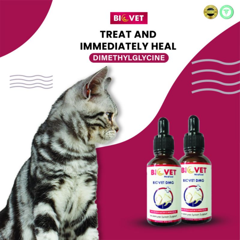 DMG Biovet VIRAL Merawat FIP Dry, Sporo, FIV, Virus, Parvo & Luka utk Kucing dan Pets