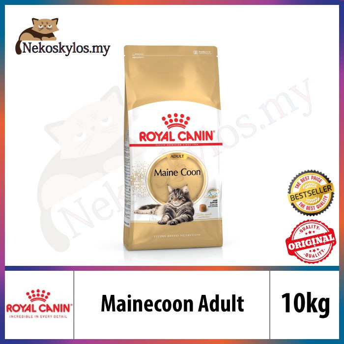 royal canin maine coon 10kg best price