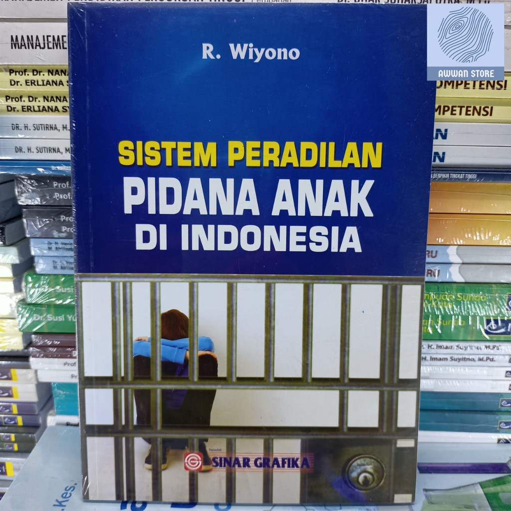 Child Criminal Justice System in Indonesia R Wiyono - Editori
