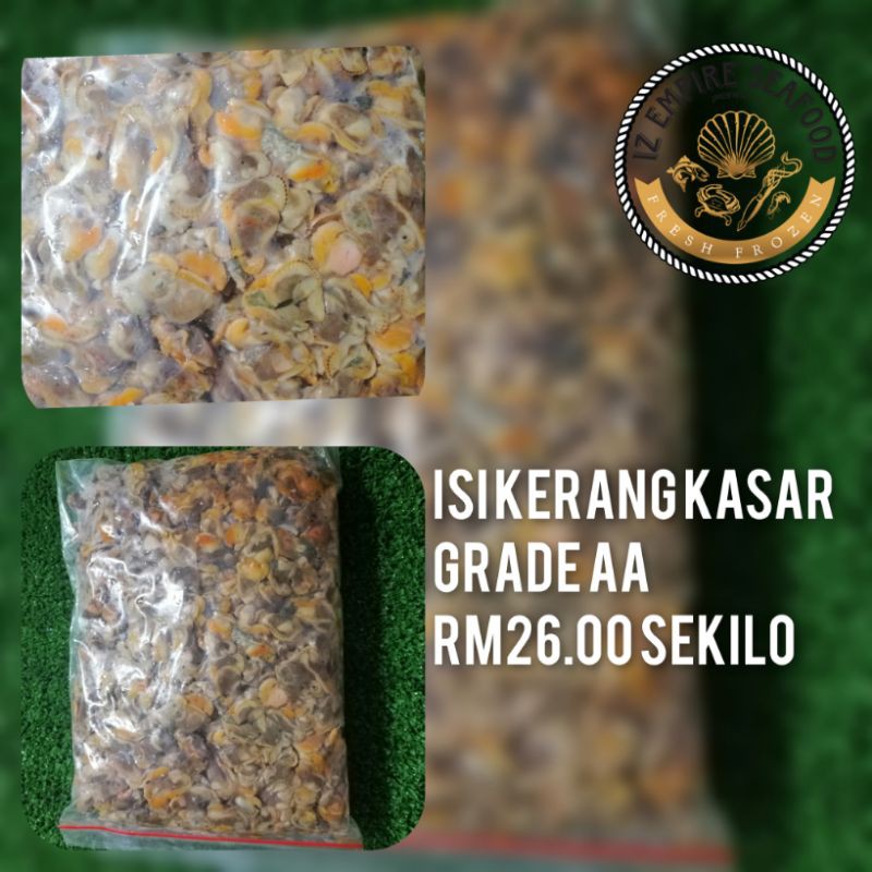 isi kerang kasar grade A johor bahru sahaja  Shopee Malaysia