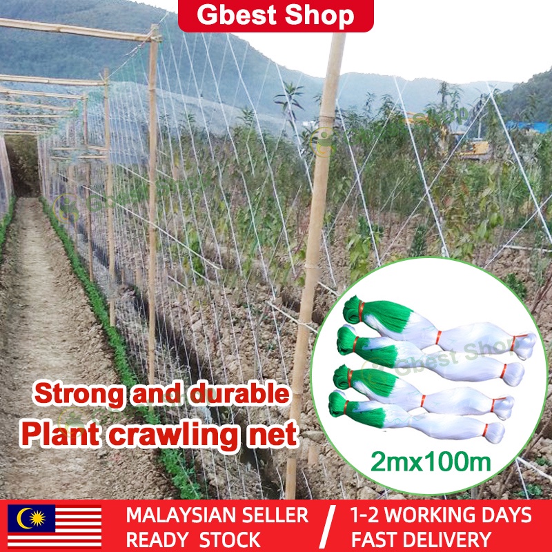 Melon Net Trellis Climbing Plants Support Garden Net Mesh Netting Planting Tool Untuk Tanaman Jaring Sayur Pertanian 爬藤网