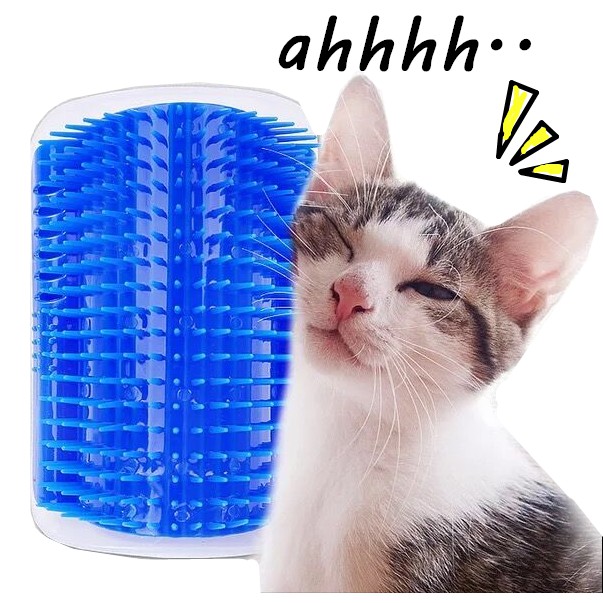cat brush wall mounted