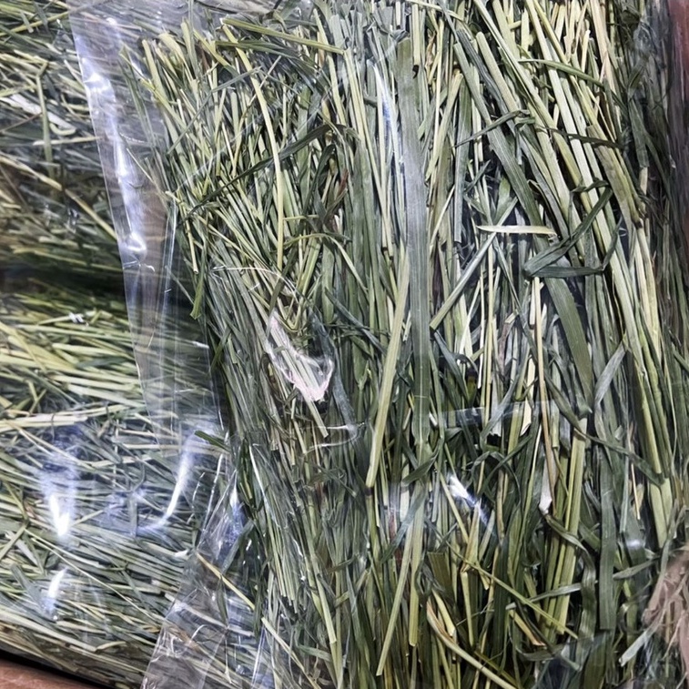 Imported Premium Dried Grade A Alfalfa / Timothy Hay 200g 500g 高级烘干提摩西草 for Rabbit, Guinea pig, Chinchilla, Small Pets