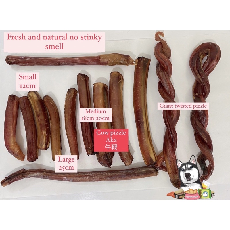 【READY STOCK】 Homemade air dried cow pizzle beef bully stick dehydrated