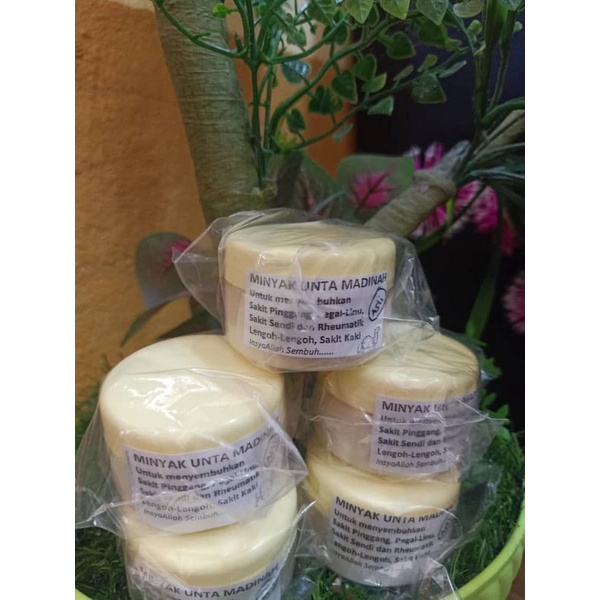 MINYAK UNTA ASLI URUT LEMAK UNTA ORIGINAL DARI MADINAH (50gram)