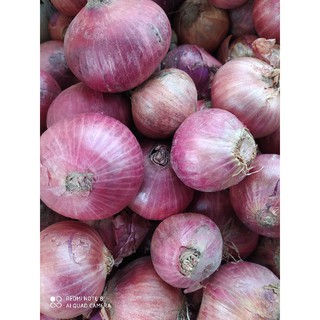 Seguni Sederhana Bawang Merah Kecik India Buah Kasar Sikit Free 200g 3kg