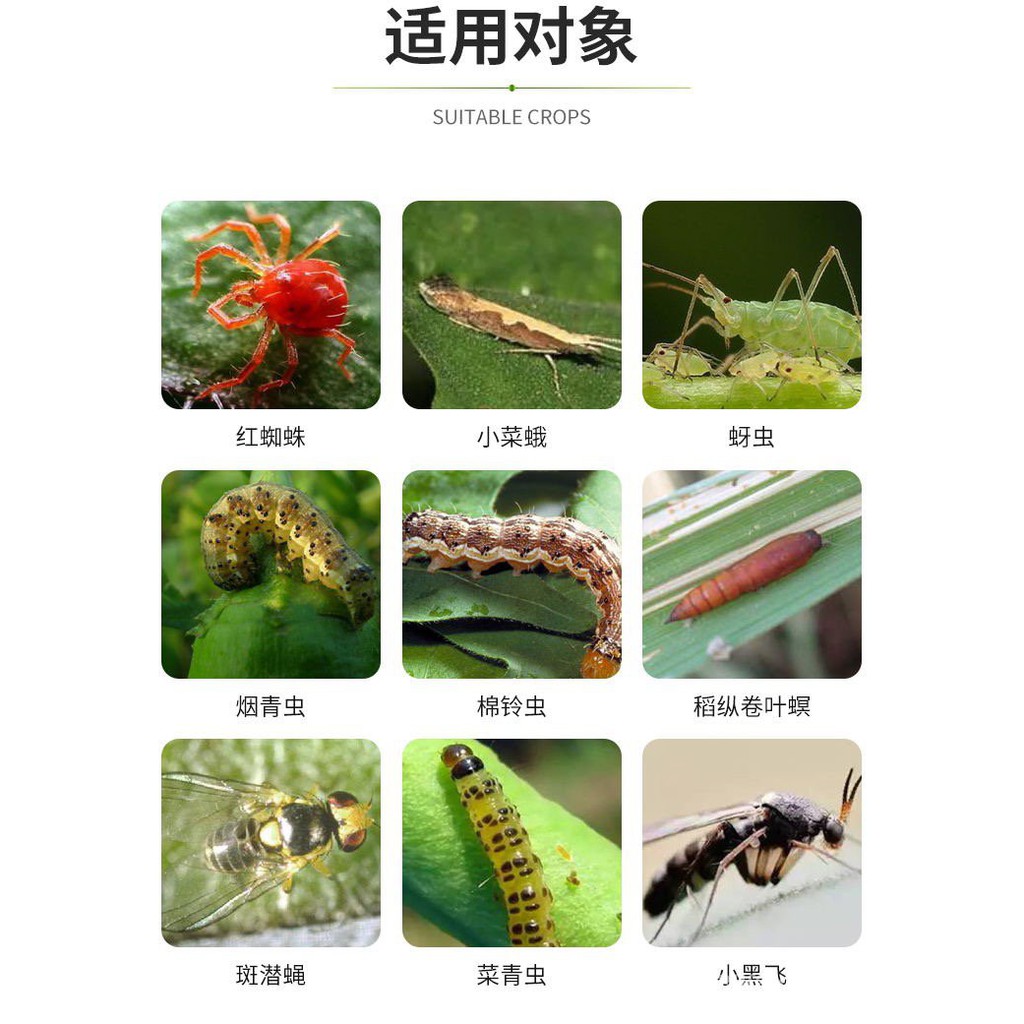 Pesticide5 阿维素菌杀螨剂菌素茵素农药杀虫剂红蜘蛛药菜青虫高效果树通用 Shopee Malaysia