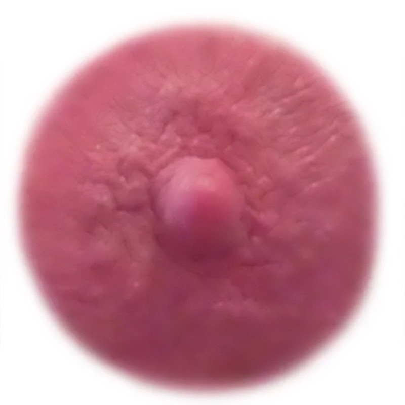 Large Pink Areolas