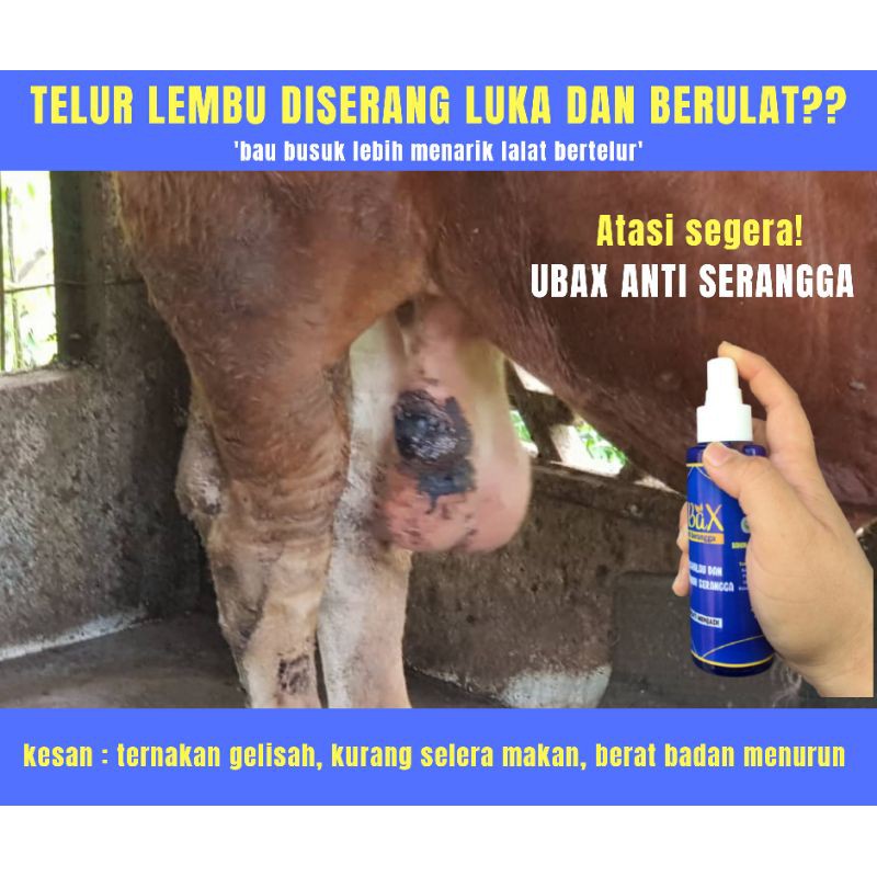 Hot Sale Ubax Atasi Ulat Pada Lembu Kambing Shopee Malaysia