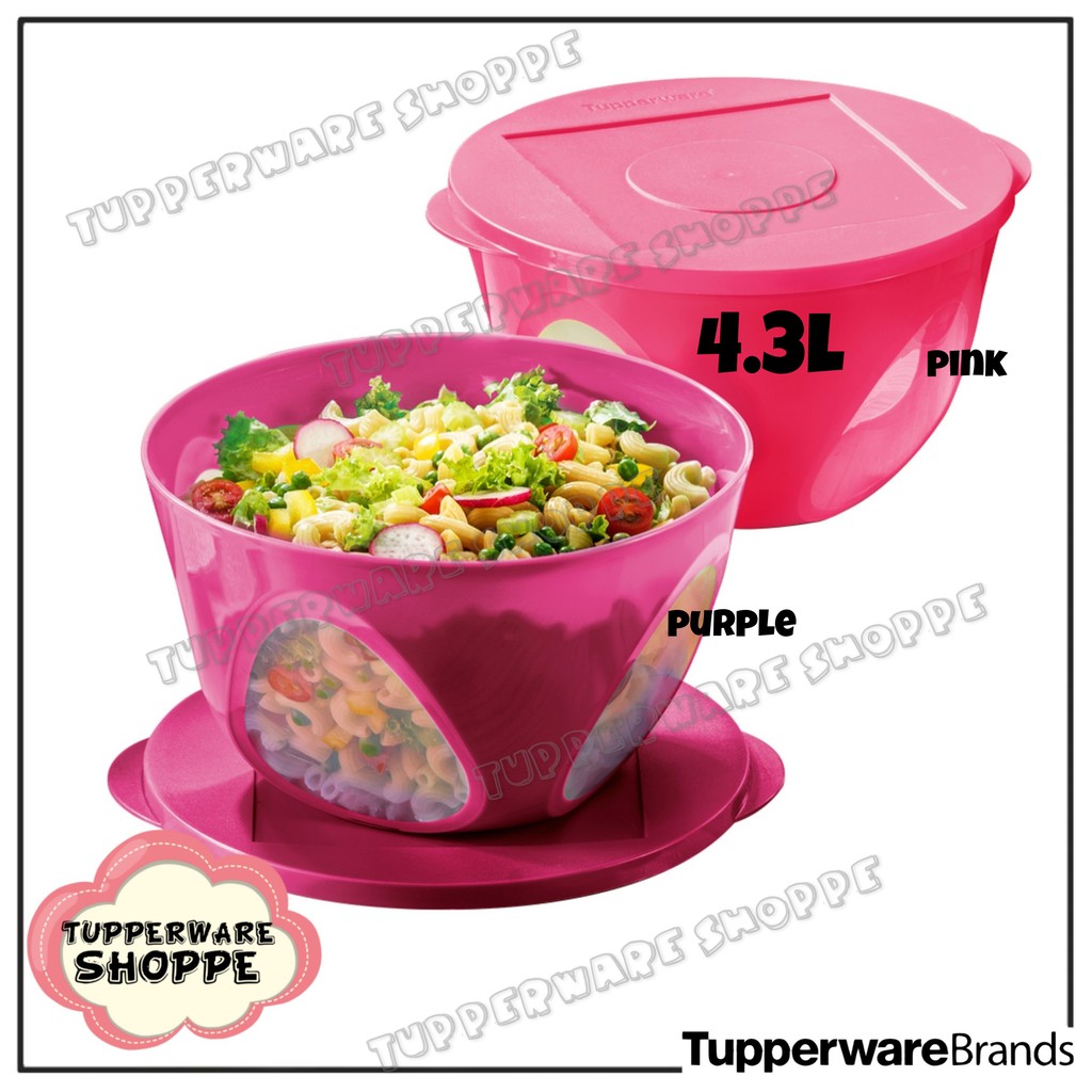 🔥READY STOCK🔥Outdoor Dining Bowl (1)