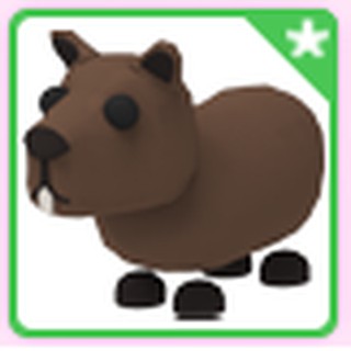 Adopt Me Mix Old Pets Shopee Malaysia