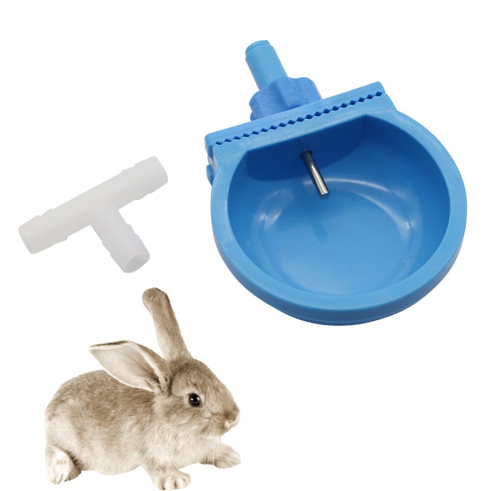 automatic rabbit water bowl