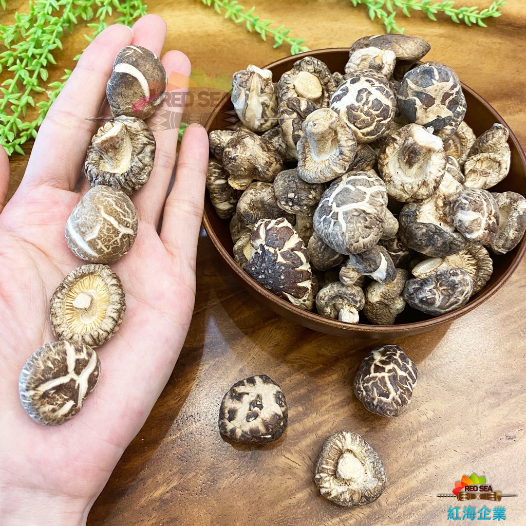 Red Sea 精选茶花菇tea Flower Dried Mushroom Shopee Malaysia