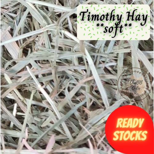 TIMOTHY HAY SOFT(500G/1KG)/Premium USA for Guinea pigs / Rabbits