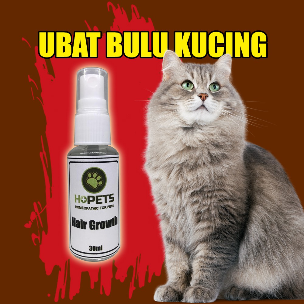 Ubat Bulu Kucing - Ubat Bulu Kucing Hair Growth Spray Homeopathy 