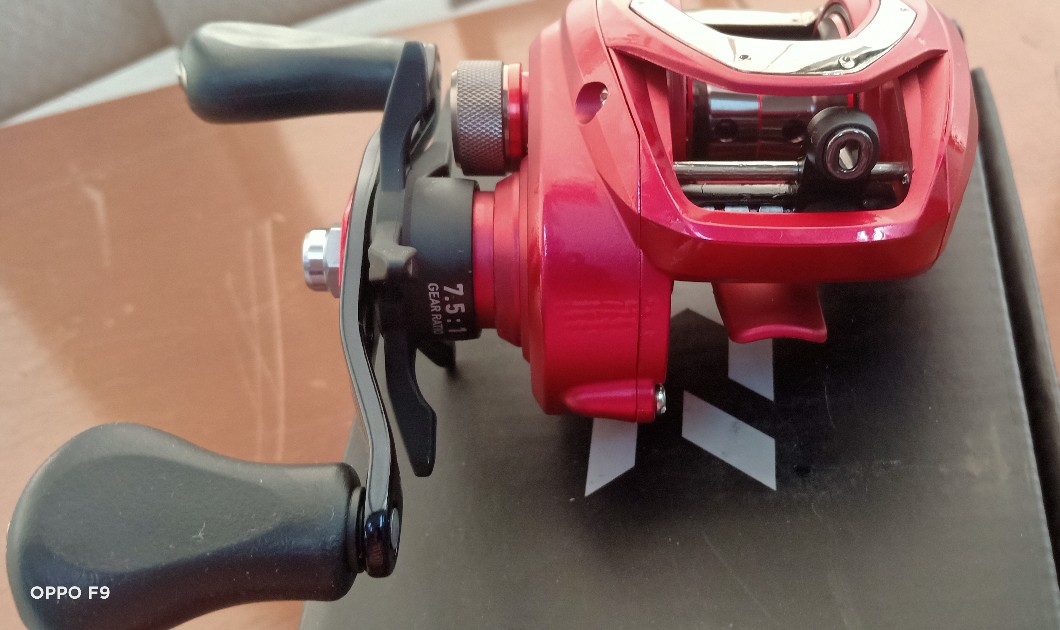 BRAND NEW 18 DAIWA CG80HS, 80HSL Daiwa CG80 Baitcasting Reel with 1 Year  Local Warranty  Free Gift | Shopee Malaysia