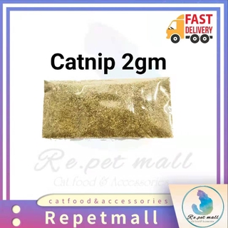 Catnip Powder Test Tube Pack 10g / Bottle Hair Removal Appetizer 