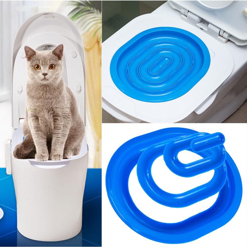 kitten toilet training kit