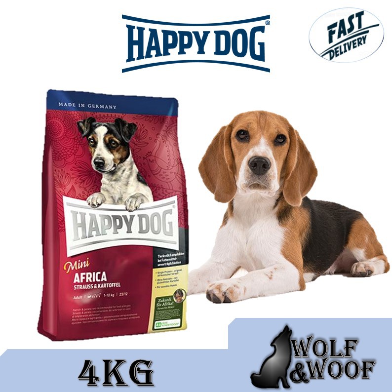 happy dog mini africa
