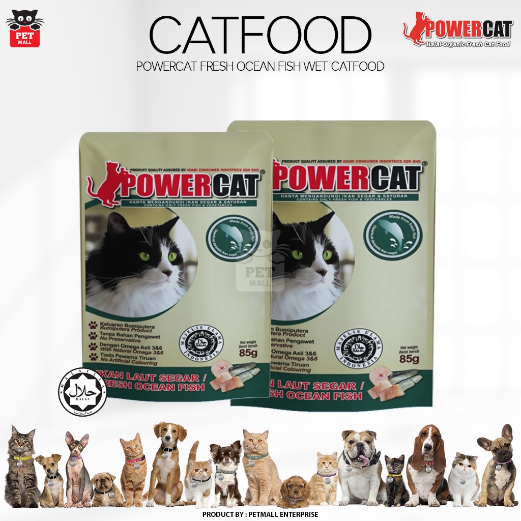power cat wet food