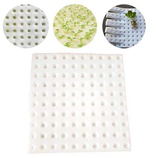 100 cubes germination sponge hydroponics semai benih