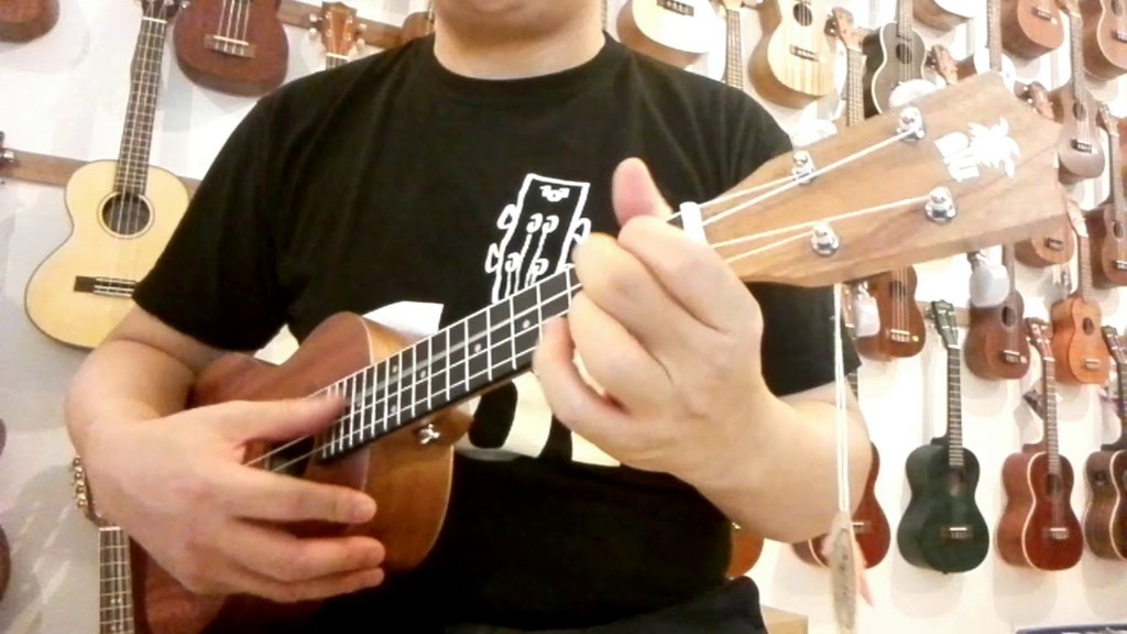 UKULELE101, Online Shop Shopee Malaysia