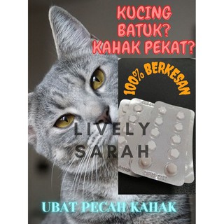 Ubat bengkak/ ulser ulcer/ radang/ bisul/ kencing berdarah, kucing 