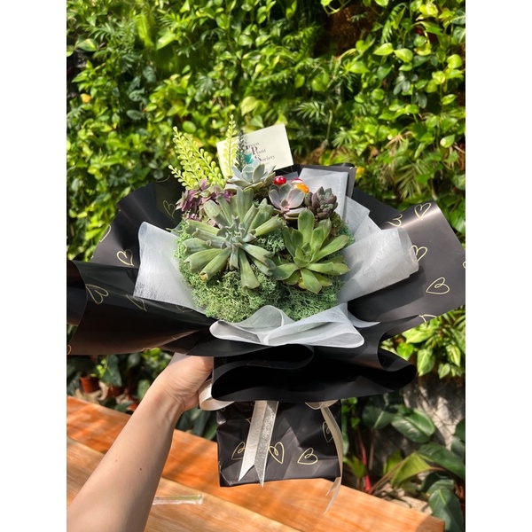 Gps Green Plant Society Classy Black Linen Succulent Bouquet 多肉花束 Birthday Anniversary Wedding Shopee Malaysia