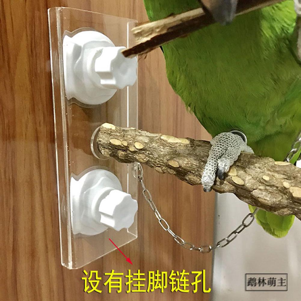 MeterMall Pet Auto Feeder Transparent Automatic Feeder for Mini Pet Birds Myna Parrots