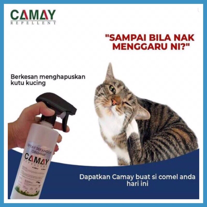 Spray Kutu Haiwan Cat Flea Lice Spray Spray Kutu Kucing Anjing Shopee Malaysia