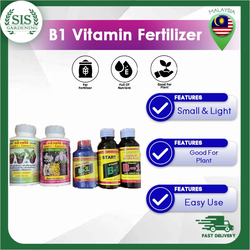 SIS B1 Vitamin Pokok (Chelated Iron & Phospated). Baja Penggalak Akar ...