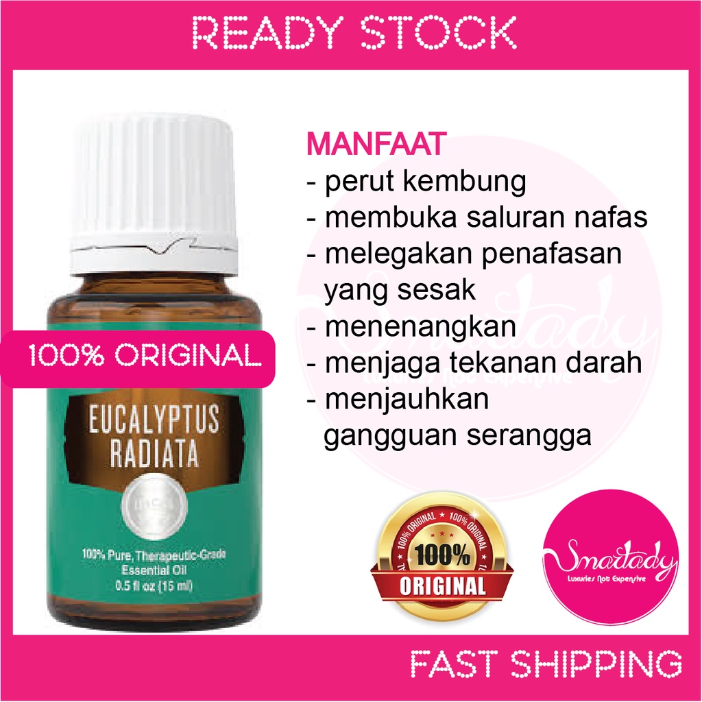 [SL] Young Living Eucalyptus Radiata essential oil blend / YL pure eo