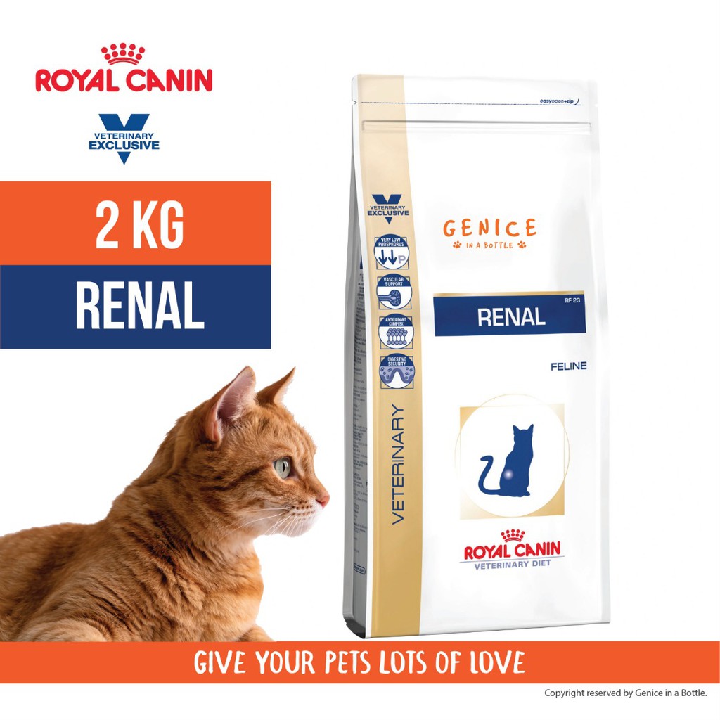 royal canin renal cat food