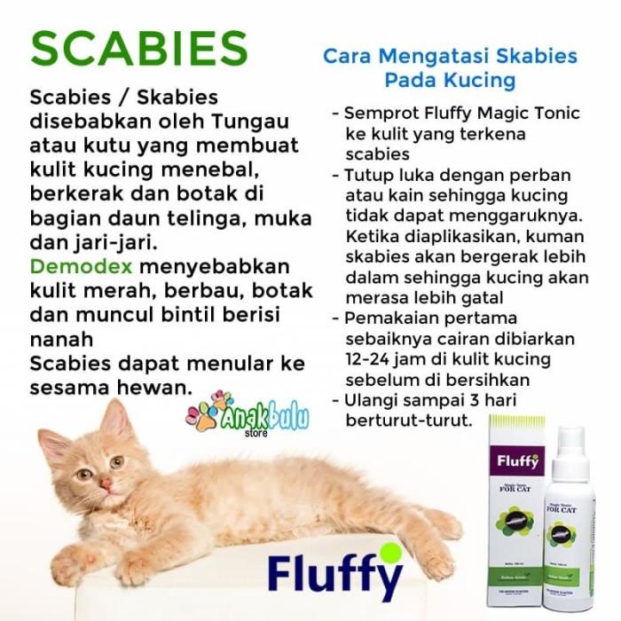 Fluffy Cat Flea Eliminate Medicine Mushroom Virus Scabies Skin Loss Shopee Malaysia