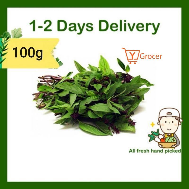 Thai Holy Basil Leaves Daun Selasih ä¹å±‚å¡