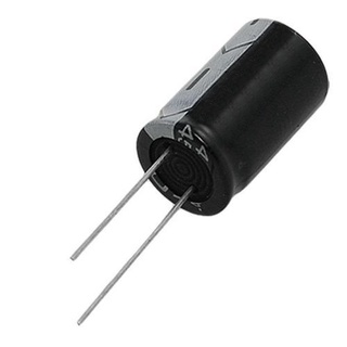 Electrolytic Capacitor 100uF Kapasitor Elektrolitik Electronic ...