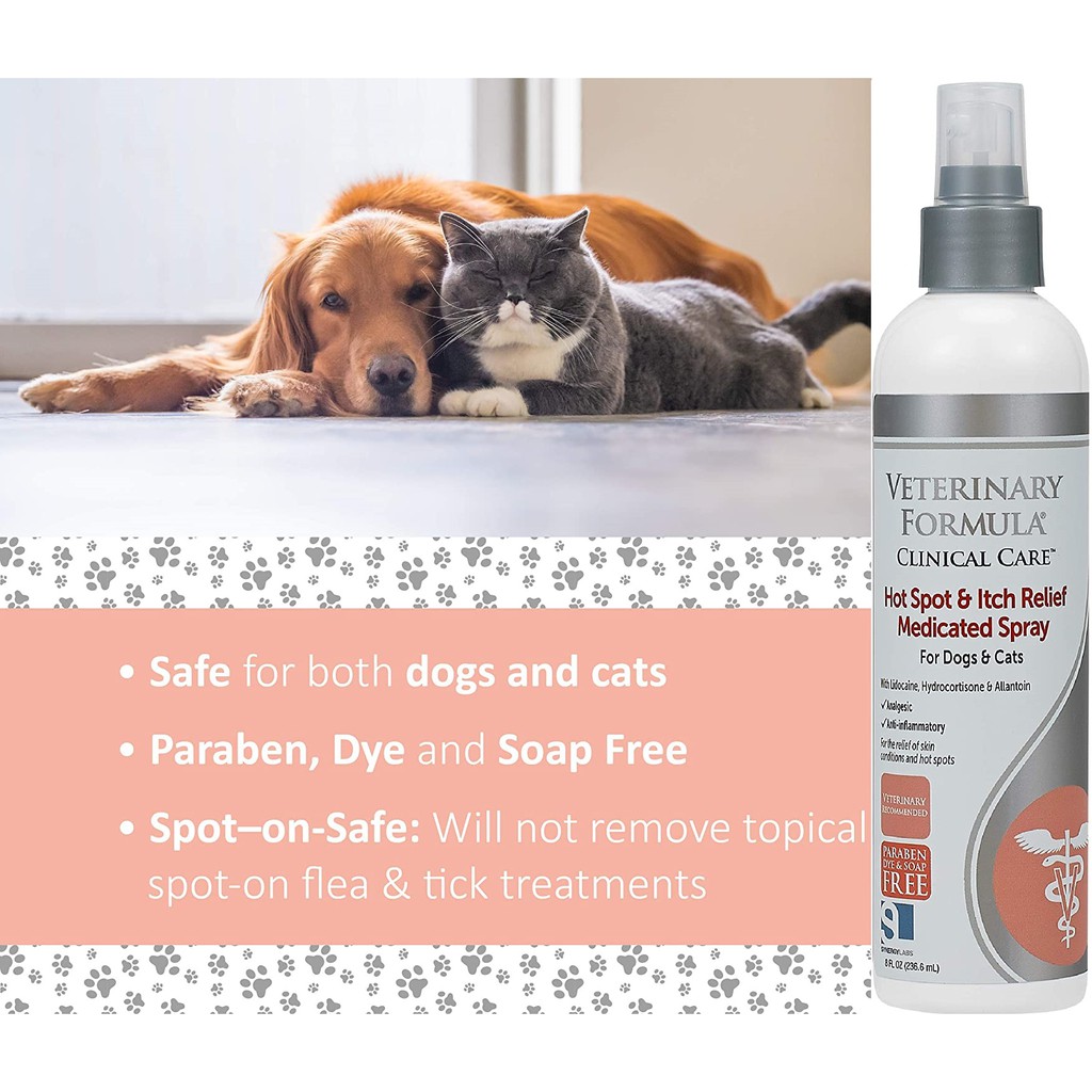 Veterinary Formula Clinical Care Antiseptic Antifungal Shampoo