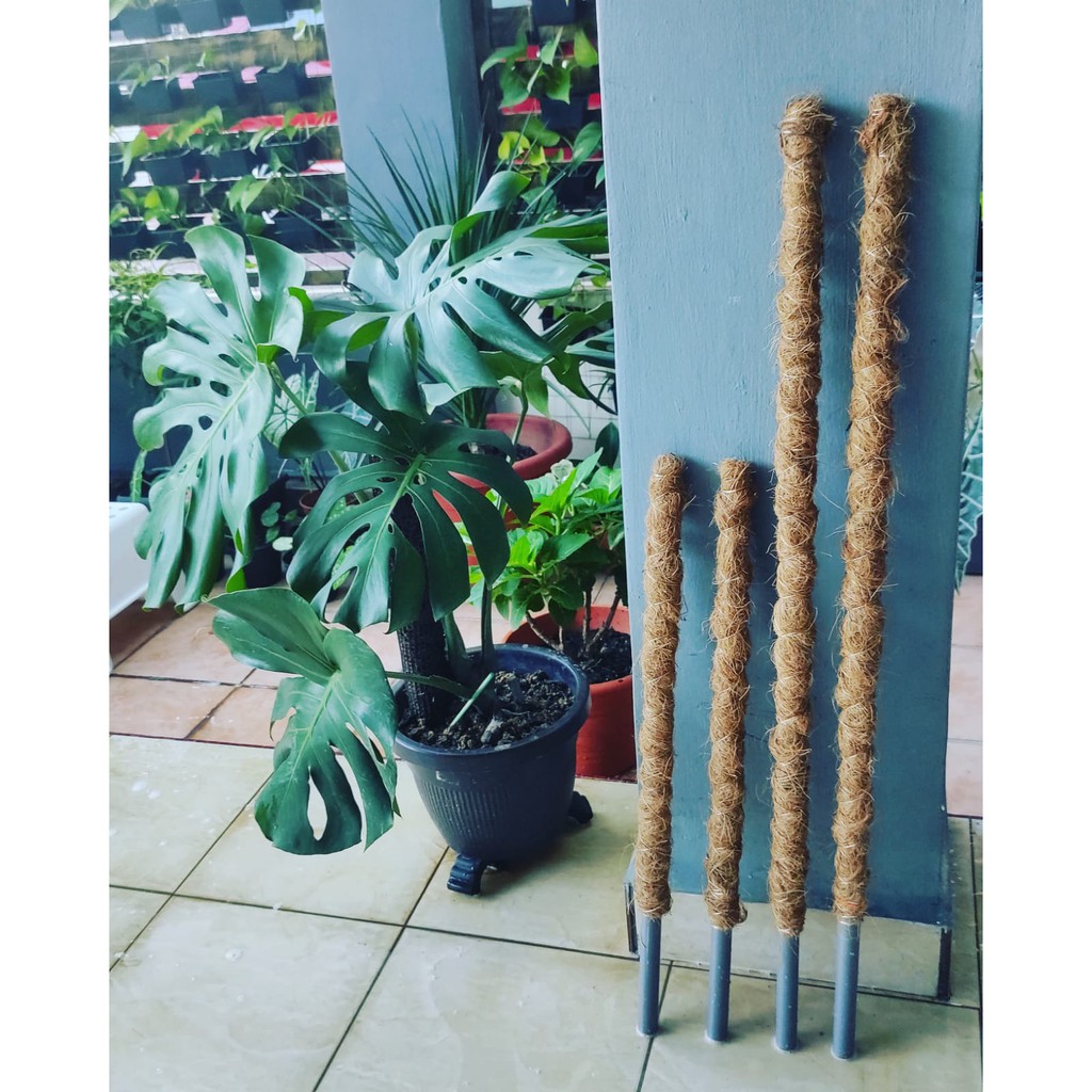 cocopeat pole