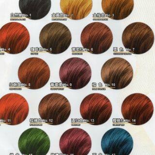  Issteru  HALAL  Color Hair Dye Pewarna  rambut  HALAL  Shopee 