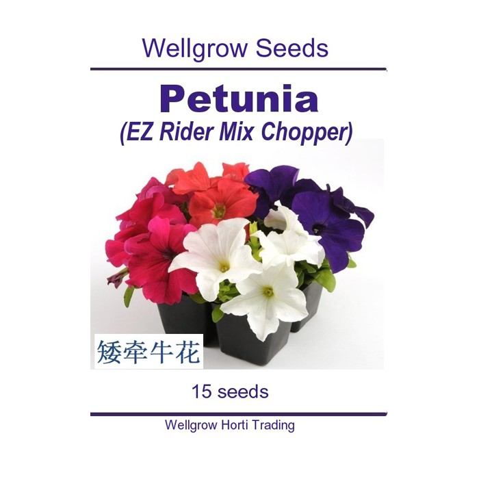 Wht Wellgrow Seeds 23841921petunia Ez Rider Mix Chopper 15 Seeds Shopee Malaysia