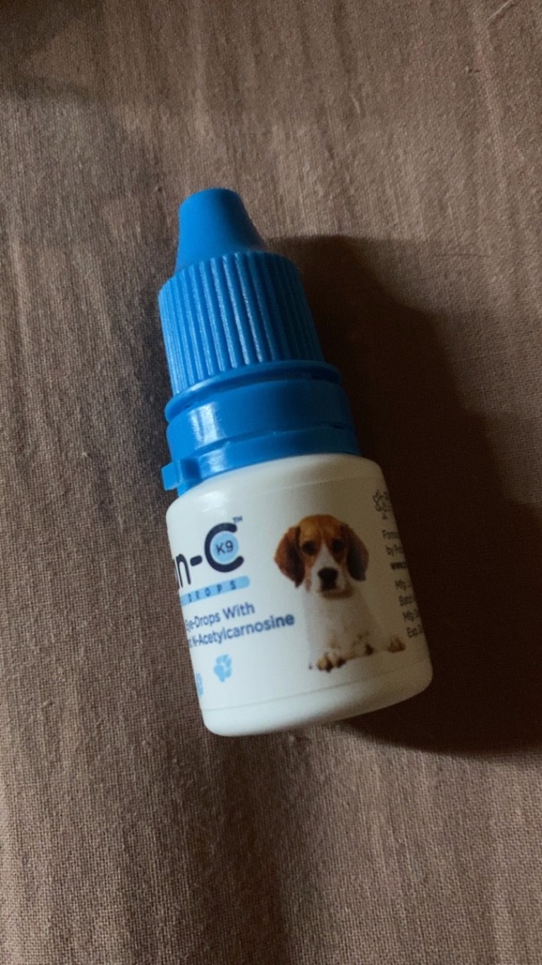 Can C Cataract Eye Drops For Dogs