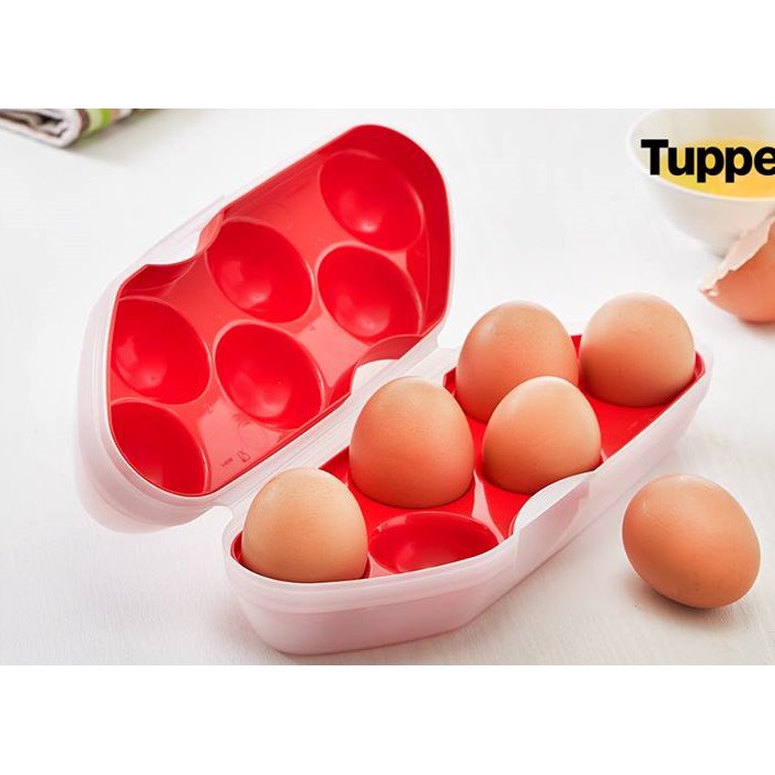 Tupperware Egg Keeper (1) Oversea Stock | Shopee Malaysia