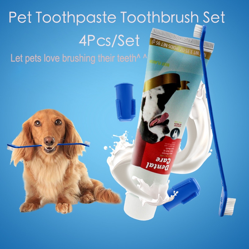dog edible toothbrush