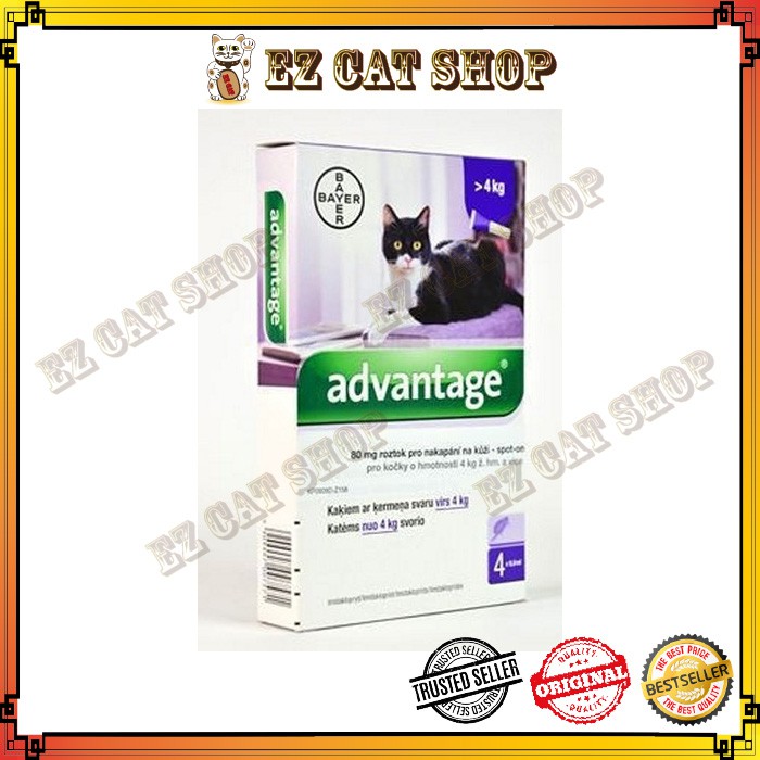 Advantage Flea Treatment for Cats Over 4kg (1box= 4 pipet) Flea & Tick Treatment Shopee Malaysia