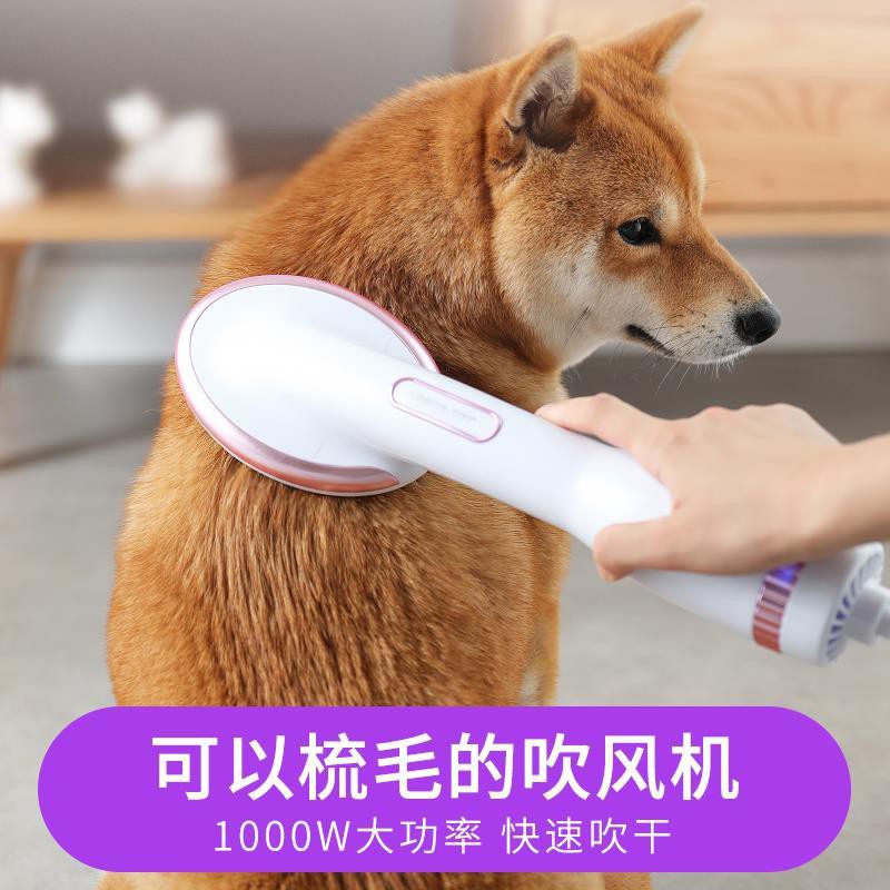 dog blow dryer