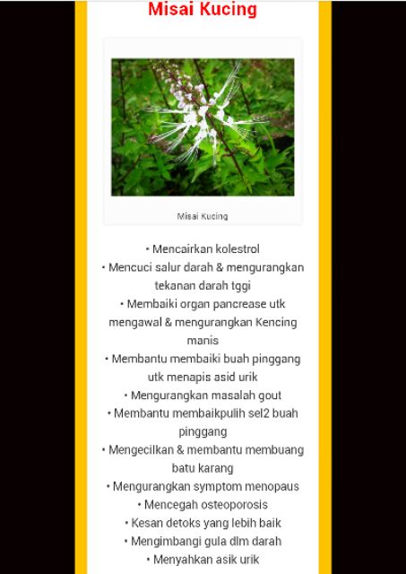 Gozout Penawar Kencing Manis Tekanan Darah Tinggi Dan Gout Shopee Malaysia