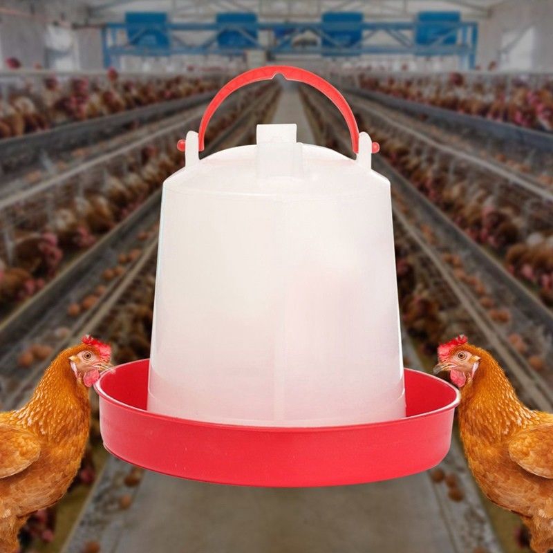 Plastic Chicken Quail Poultry Chick Hen Drinker Food Feeder