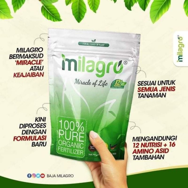 BAJA MILAGRO PASTIKAN MILAGRO BARU BELI | Shopee Malaysia