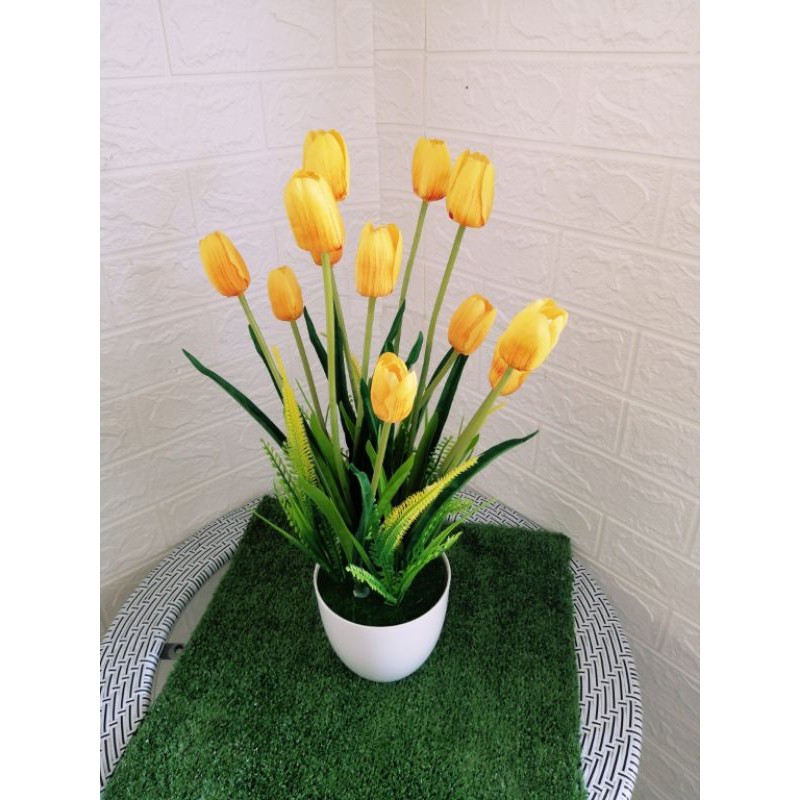 tulips flower New stok.. bunga tulip Shopee Malaysia